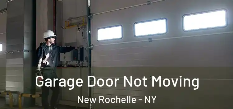  Garage Door Not Moving New Rochelle - NY
