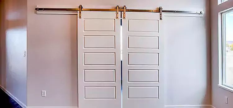 Glass Barn Door with Installation Hardware Kit New Rochelle