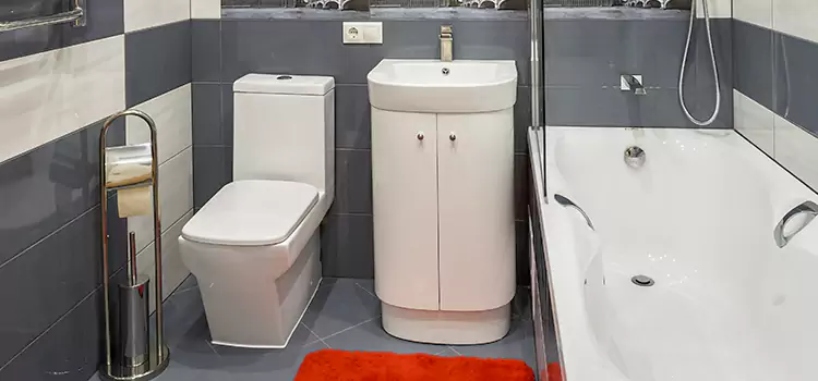 Hansgrohe Shaving Mirror New Rochelle